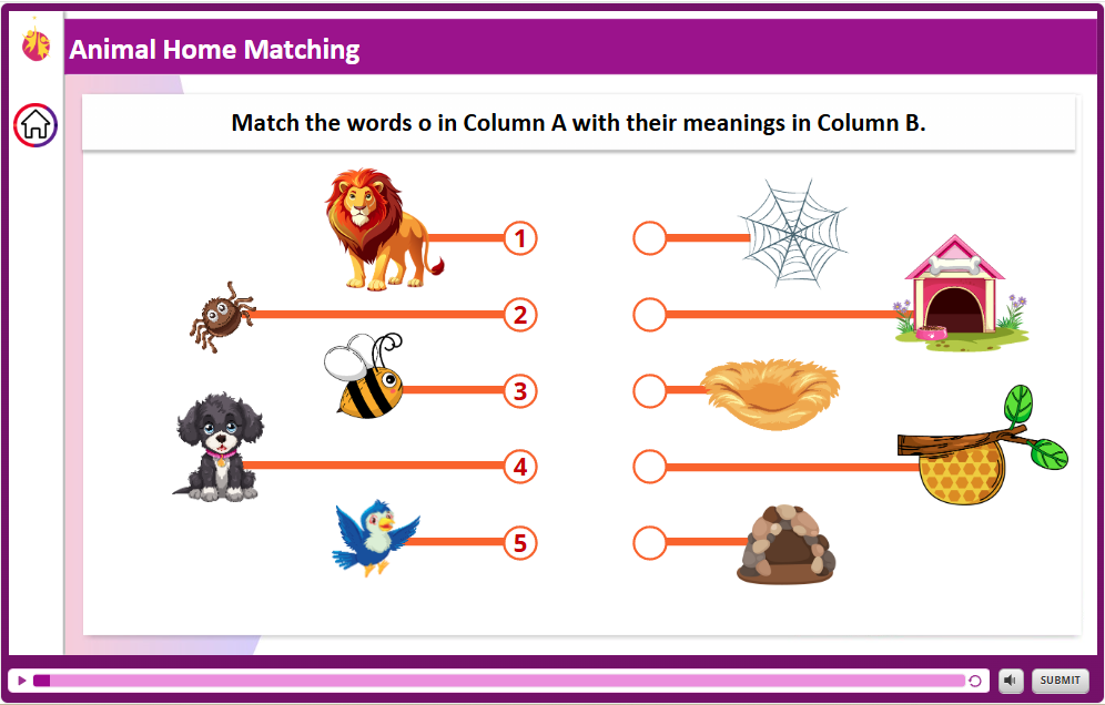 Animal Home Matching cover